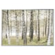 BJÖRKSTA Picture with frame, birches/aluminium-colour, 200x140 cm