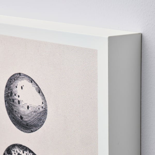 BJÖRNAMO Art print on hollow wood, eggs, 20x30 cm