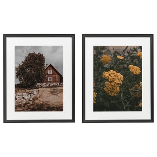 Two black-framed pictures side by side. Left: old wooden house with tree. Right: bright yellow flowers.