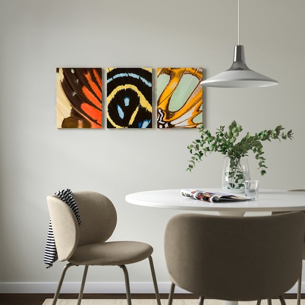 PJÄTTERYD Picture, butterfly wings, 30x40 cm