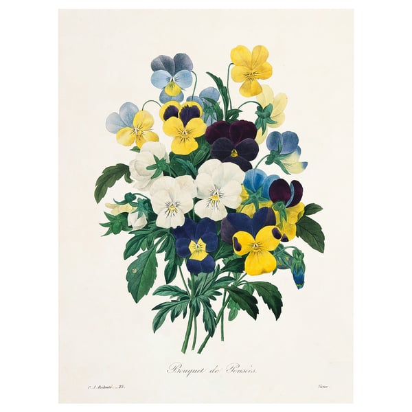 PJÄTTERYD Picture, Flowers, 30x40 cm