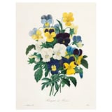 PJÄTTERYD Picture, Flowers, 30x40 cm