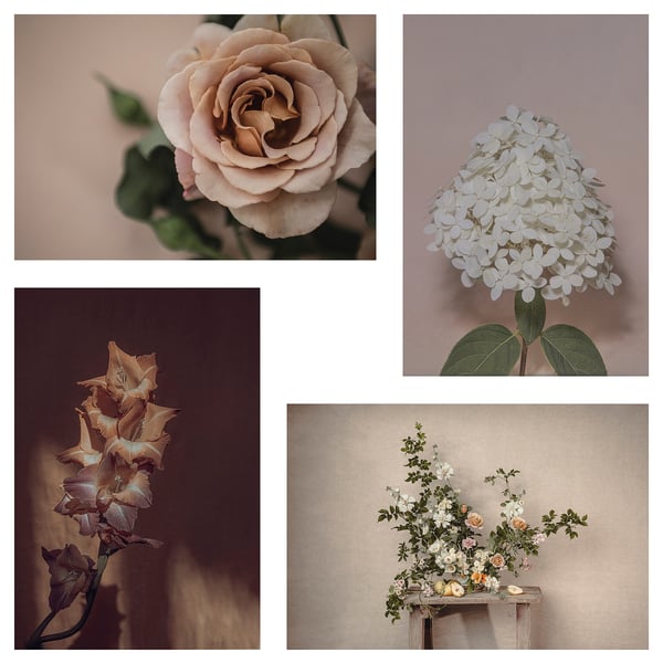 YLLEVAD Art card, flowers-blooming, 10x15 cm