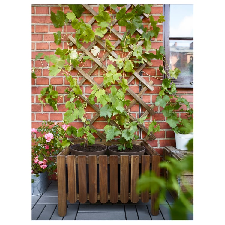 ASKHOLMEN trellis, light brown stained IKEA CA