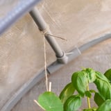 ASPAREN Greenhouse, transparent white, 37 3/8x12 5/8x63 3/4 "