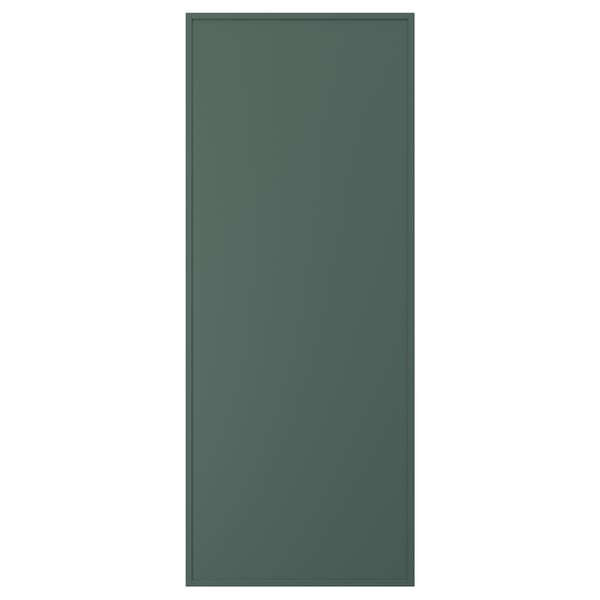 ASPUDDEN Door, dark gray-green, 24x60 "