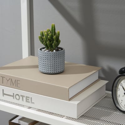 BÄCKDRÅG Plant pot, dotted surface/white gray, 2 ¼ "