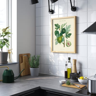 Modern kitchen with fig plant illustration, watering can, cutting boards, and potted plant on counter with range hood.