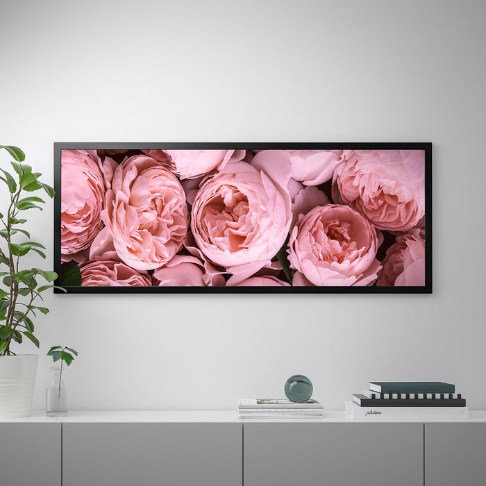 Wall Art | Framed Pictures & Canvas Wall Art - IKEA CA