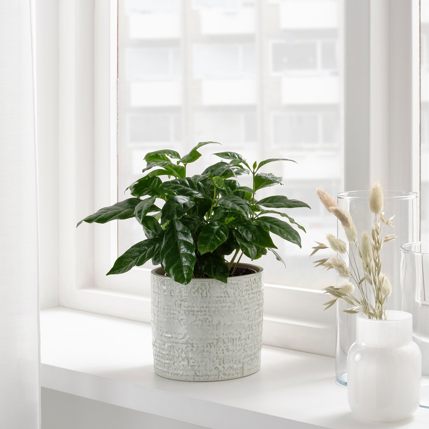 CHIAFRÖN plant pot, indoor/outdoor white, 12 cm (4 ¾
