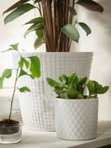 CHIAFRÖN Plant pot, white, 3 ½ "