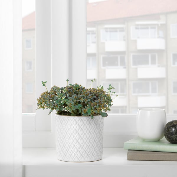 CHIAFRÖN Plant pot, white, 3 ½ "