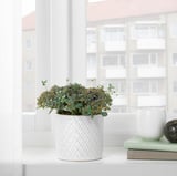 CHIAFRÖN Plant pot, white, 3 ½ "