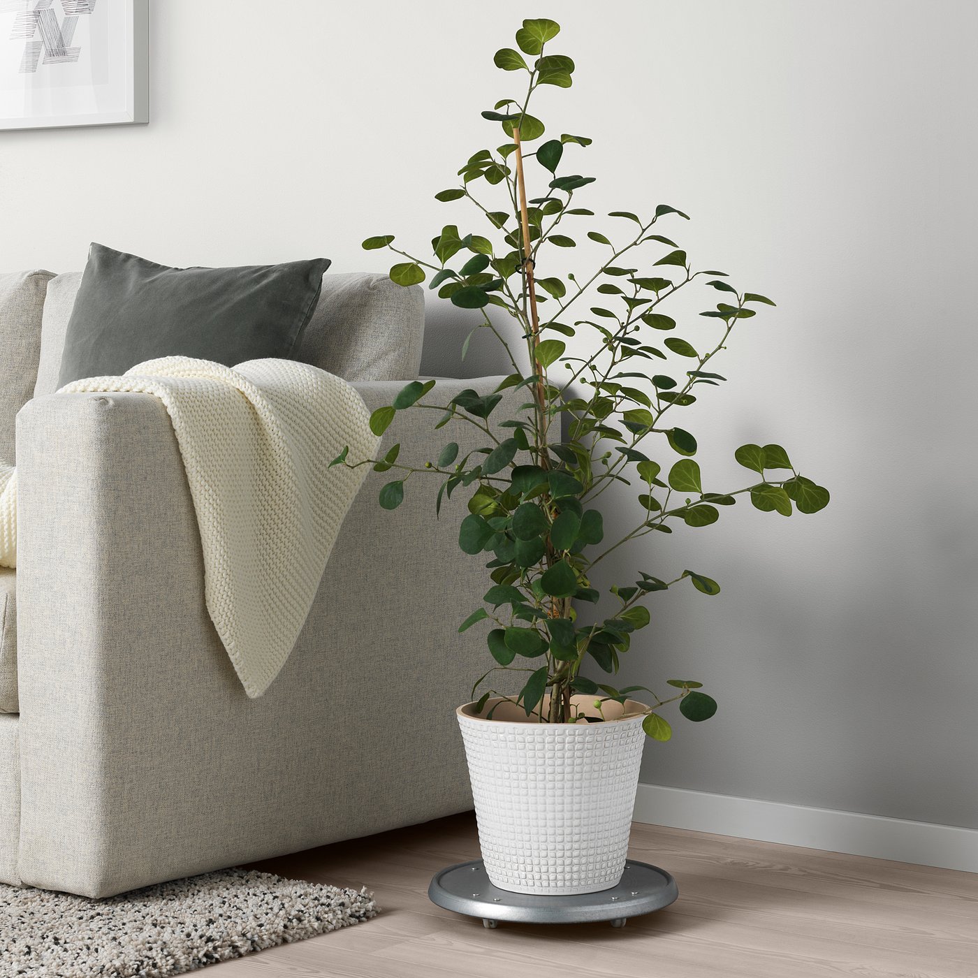 Plant Pots & Stands IKEA