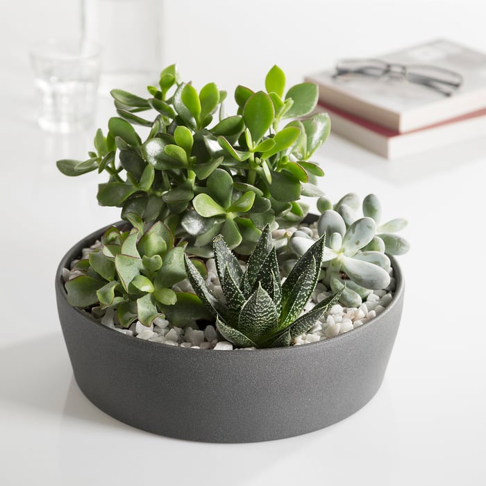 DYFT decorative stones, white, 650 g (1 lb7 oz) IKEA CA