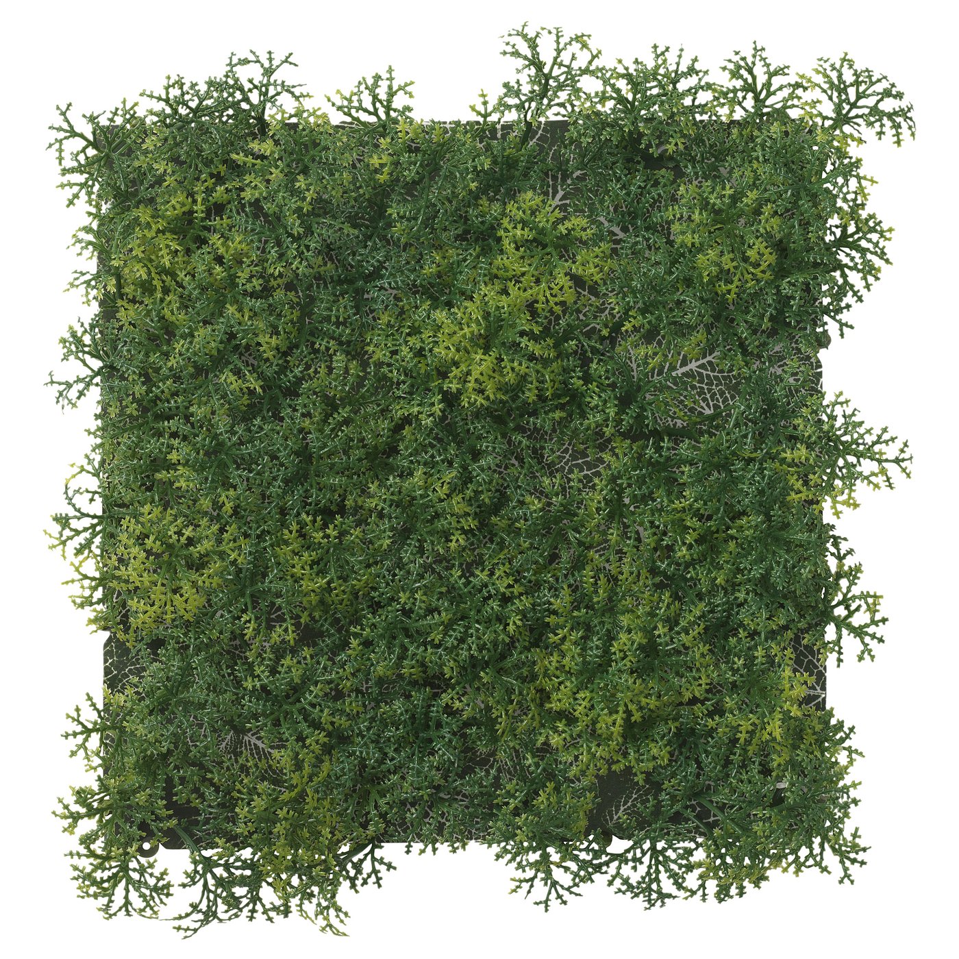 FEJKA artificial plant, wall mounted indoor/outdoor/moss green, 26x26