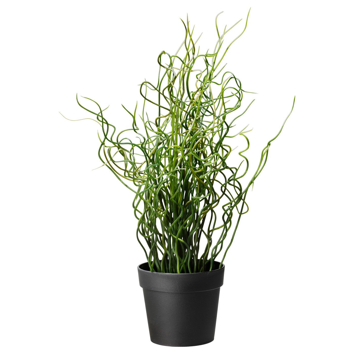 FEJKA Artificial potted plant, Corkscrew Rush, 4" (10 cm) IKEA CA