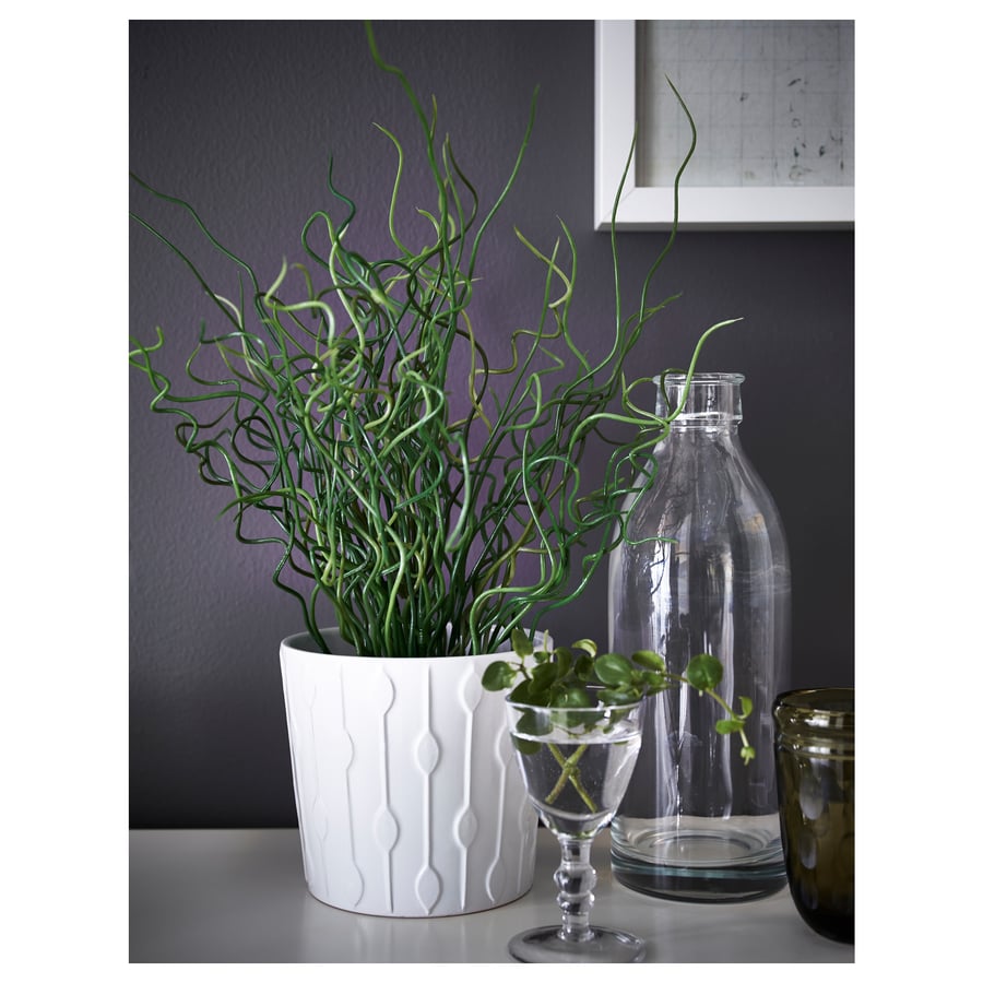 FEJKA Artificial potted plant, Corkscrew Rush, 4" (10 cm) IKEA CA