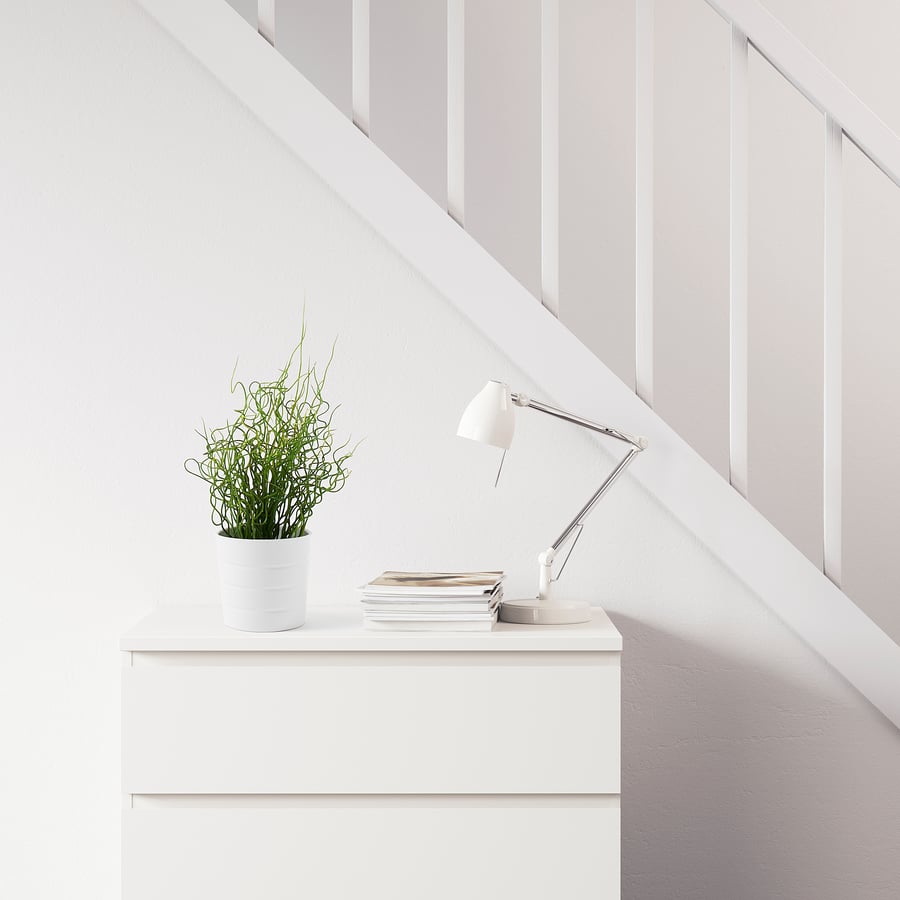 FEJKA Artificial potted plant, Corkscrew Rush, 4" (10 cm) IKEA CA