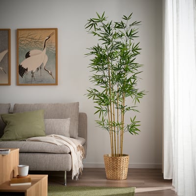 FEJKA Artificial potted plant, indoor/outdoor/bamboo, 8 ¼ "