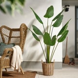 FEJKA Artificial potted plant, indoor/outdoor/Bird of paradise, 9 "