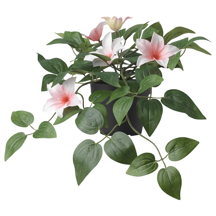 FEJKA artificial potted plant, indoor/outdoor clematis/hanging pink, 12 cm (4 ¾") IKEA CA