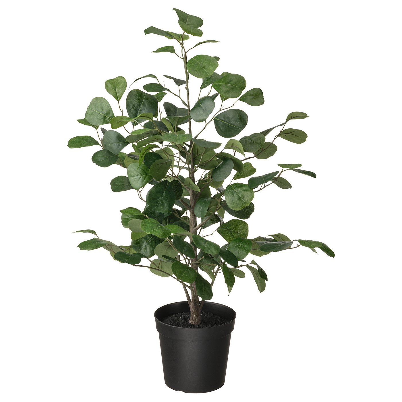 FEJKA Artificial potted plant, indoor/outdoor Ficus Microcarpa Moclame