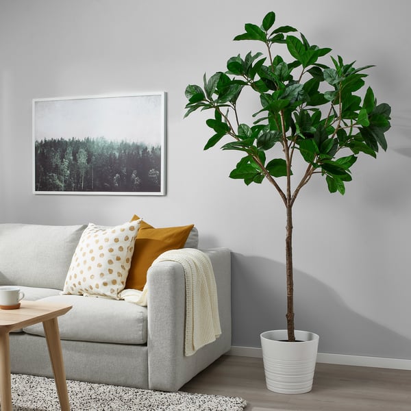 FEJKA artificial potted plant, indoor/outdoor Magnolia, 23 cm (9