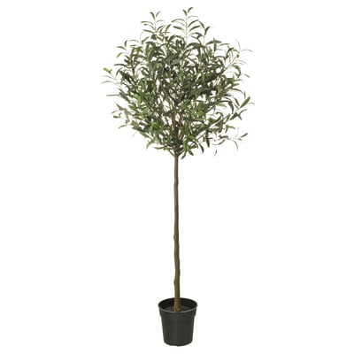 FEJKA Artificial potted plant, indoor/outdoor/Olive tree green, 7 ½ "