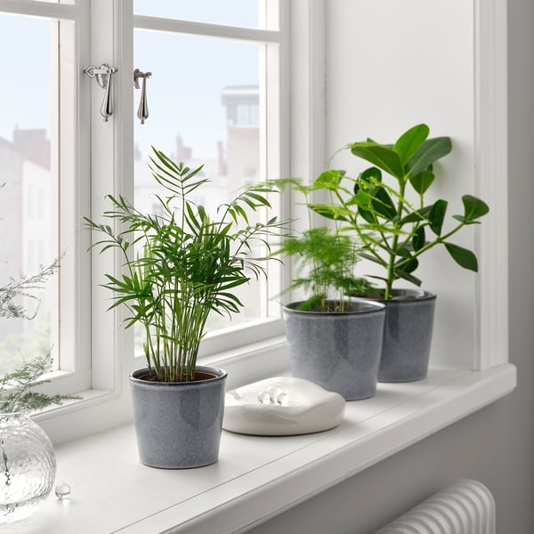 FJÄRILSBUSKE Plant pot, indoor/outdoor/gray, 3 ½ "