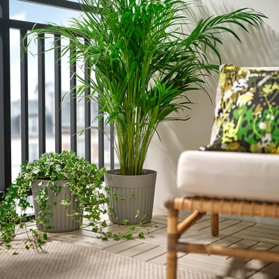 FRÄKENVÄXT Plant pot, indoor/outdoor/dark gray-beige, 9 ½ "