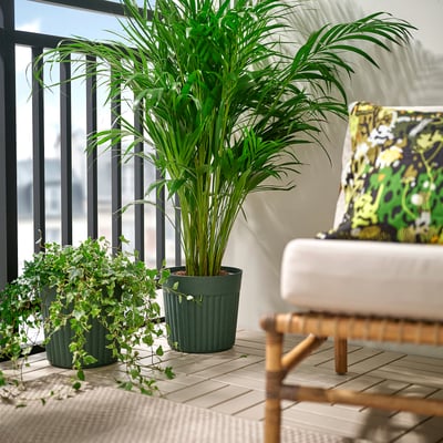 FRÄKENVÄXT Plant pot, indoor/outdoor/deep green, 9 ½ "