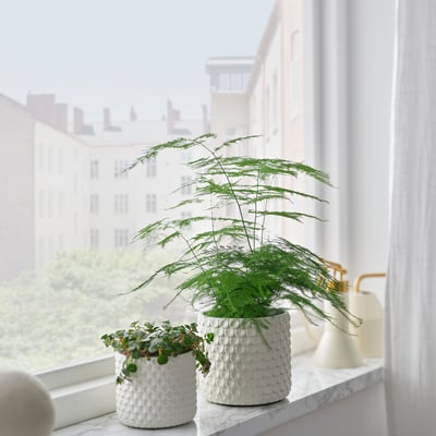 GLACIÄRBJÖRN Plant pot, white, 4 ¾ "