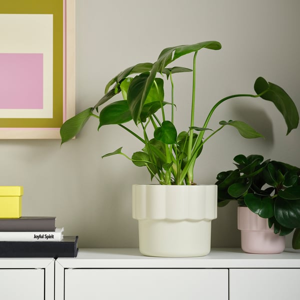 HÄNGSÄLG Plant pot, off-white, 6 "