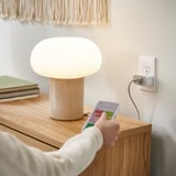 INSPELNING Plug, smart/energy monitor