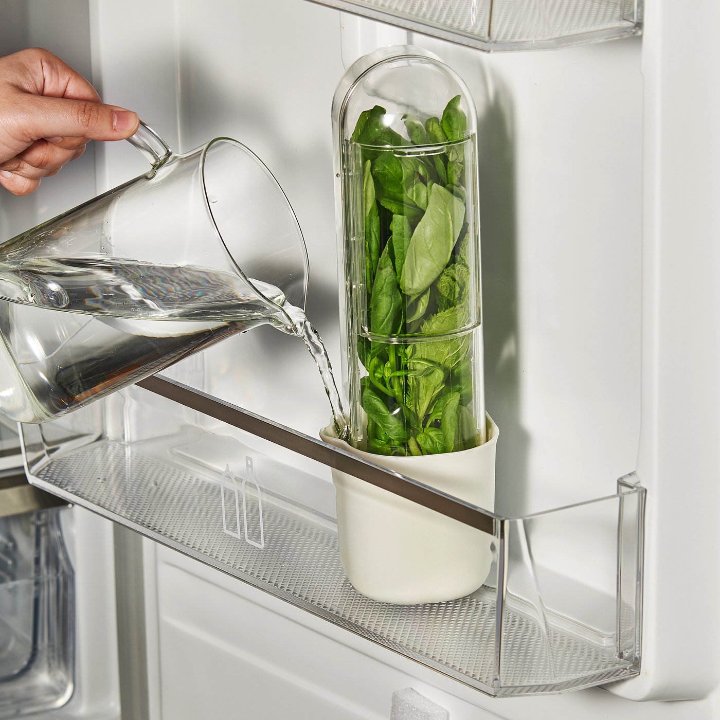 KLIPPKAKTUS herb storage for fridge, transparent, 10x9x28 cm (33