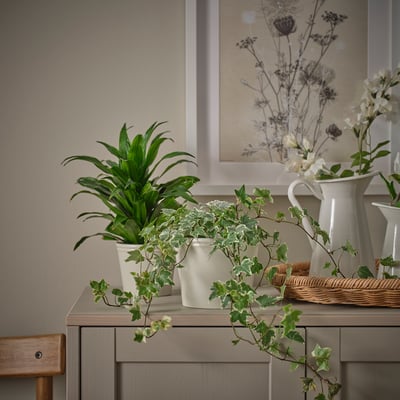 KÖRSBÄRSBJÖRK Plant pot, light gray-beige, 4 ¾ "