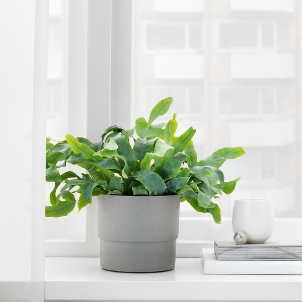 Nypon Plant Pot Indoor Outdoor Gray Ikea Canada Ikea