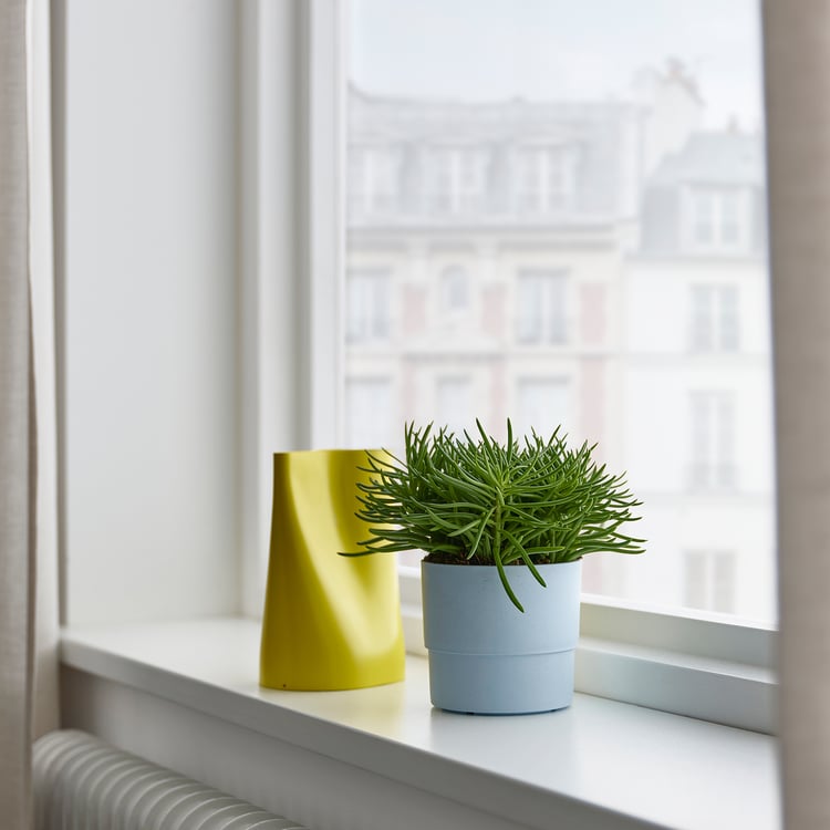 NYPON plant pot, indoor/outdoor pale blue, 9 cm (3 ½") IKEA CA