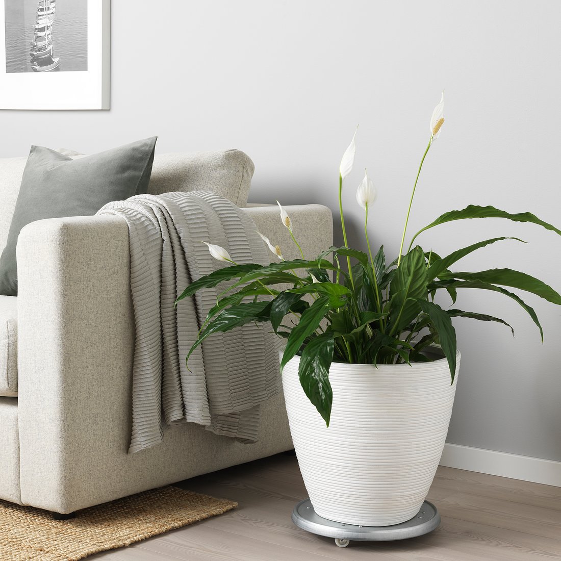 PEKANNÖT Plant pot, rattan, 9 ½" (24 cm) IKEA