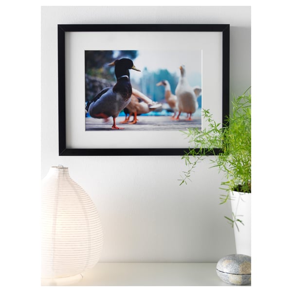 Ribba Frame Black 12x16 31x41 Cm Ikea