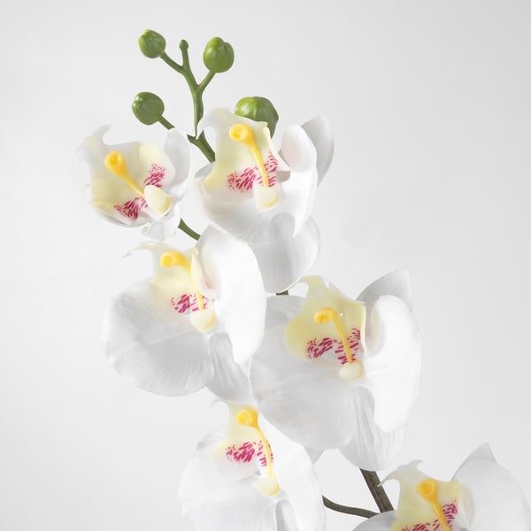 SMYCKA artificial flower, Orchid/white, 60 cm (23 ½") IKEA CA