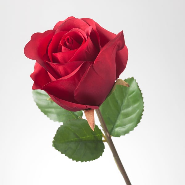 Smycka Artificial Flower Rose Red 52 Cm Ikea
