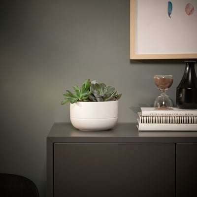 Indoor & Potted Plants - IKEA CA