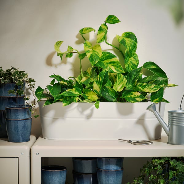 VITLÖK Flower box with holder, indoor/outdoor/off-white, 22x7 ¾ "