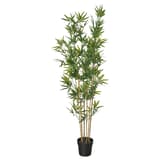 Plantes de sol artificielles