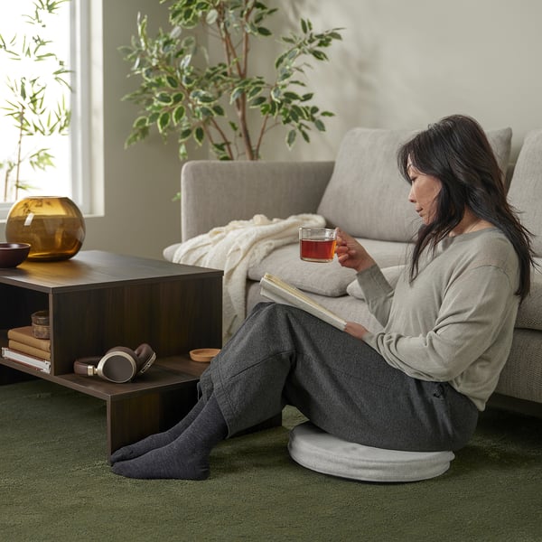 ÅKERVINDEFLY Coussin de chaise, beige, 15 "