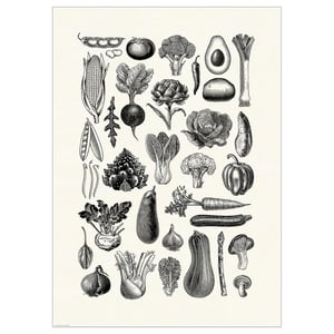 BILD Affiche, légumes divers, 19 ¾x27 ½ "