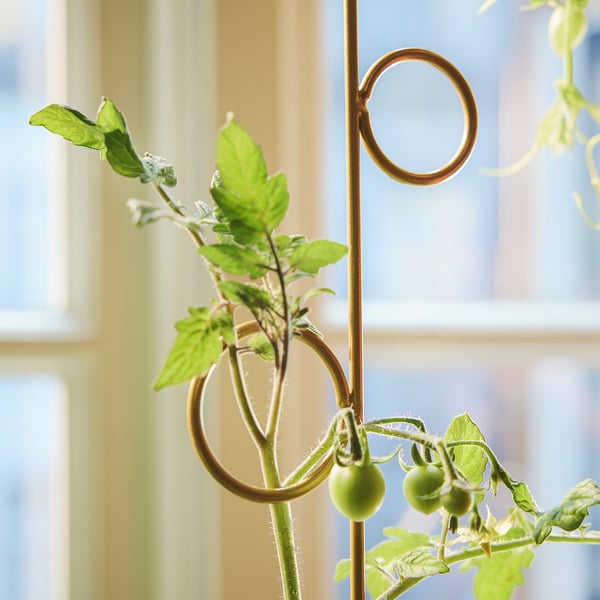 DOFTRIPS Tuteur plantes, jeu de 2, intérieur/extérieur/plusieurs formes