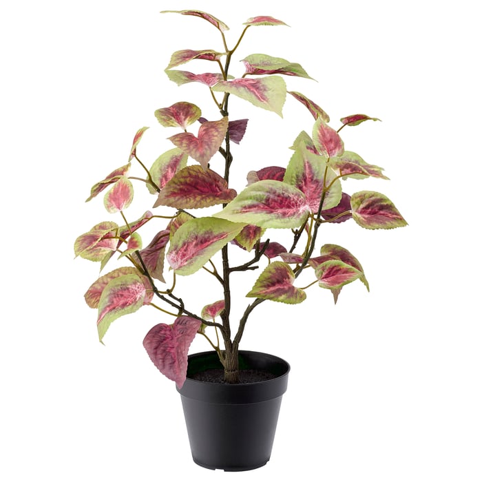 FEJKA Plante artificielle en pot intérieur/extérieur Plectranthe